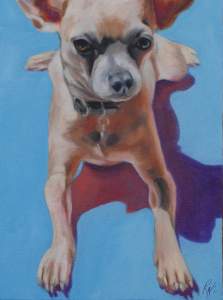 Cabarrus Arts Council Galleries Animal House Show