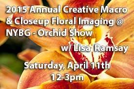2015 Annual Creative Macro And Close-up Floral...