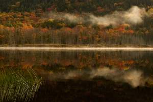 Autumn In Acadia National Park Photography...