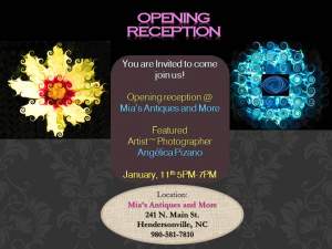 Opening Reception Hendersonville North Carolina