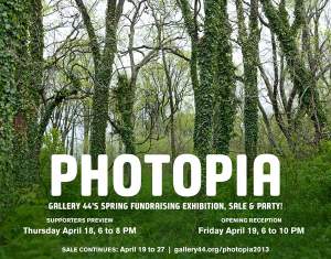 Annual Gallery Forty-four Fundraiser Photopia