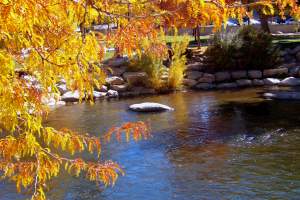 Autumn Photography Of Nevada