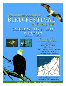 Onondaga Audubon Bird Festival 