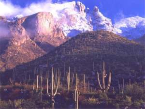 Plein Air Painting Workshop At Catalina Mountains...