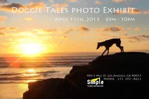 Doggie Tales Photo Gallery Exhibit