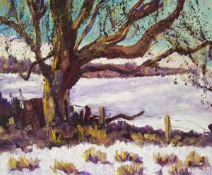 One Or Two Day Workshop - Fireside - Snow Scenes