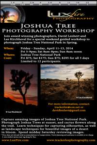 Joshua Tree Photography Workshop