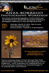 Anza-borrego Photography Workshop