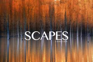 Scapes An Exhibit Of Fine Art Photography