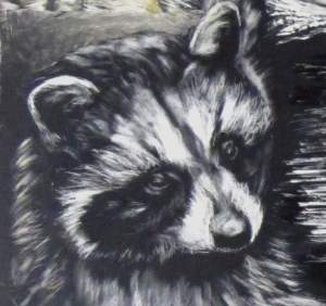 Baby Raccoon    Scratch Art