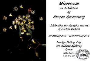 Microcosm Exhibition