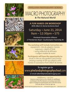 Macro Photography And The Natural World