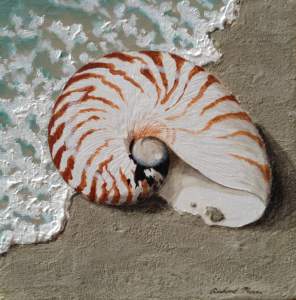 Nautilus Shell Painting Workshop In Auckland