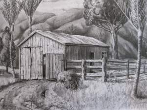 Weekly Drawing Classes For Beginners In Whangarei