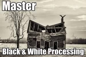 Free Workshop On Black And White Processing...