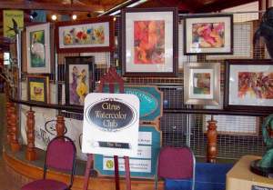 Citrus Watercolor Club Fall Show And Sale