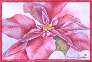 Christmas Blooms In Watercolour Workshop With...
