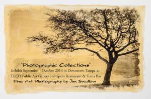 Artist Reception   Photographic Collections Of...
