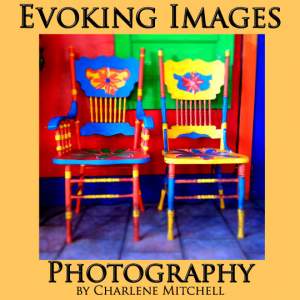 Evoking Images Photography at the Copper Queen Holiday Market in Historic Old Bisbee