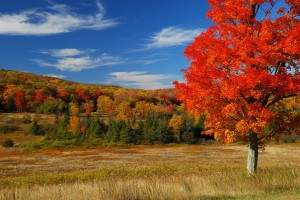 Canaan Valley Wv Fall Foliage Photo Workshop