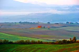 Perspectives - Tuscany And Other Photos