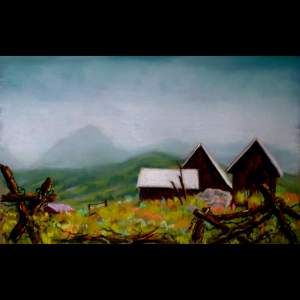 THE LADY AND THE COWBOY PRESENT GUNNISON COUNTY AND BEYOND THE LADY AND THE COWBOY PRESENT GUNNISON COUNTY AND BEYOND