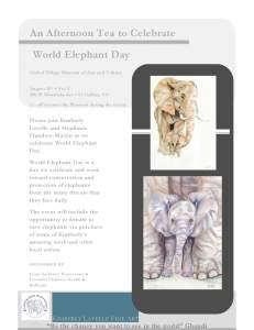 World Elephant Day Fundraiser