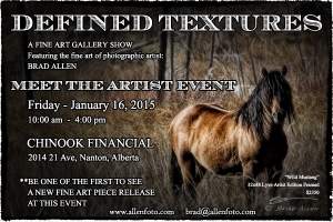 DEFINED TEXTURES II - MEET THE ARTIST and NEW FINE ART RELEASE EVENT