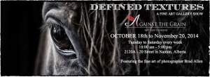 Defined Textures - A Gallery Show Event