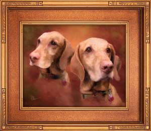 Pet Portraits By Mary Ahern At Pawfect Pet Den