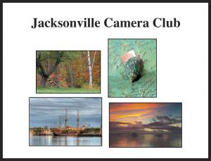 Photography Show at Gallery 1037 in Jacksonville - Month of November