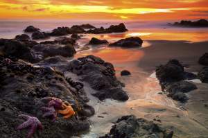 Santa Monica Mountains Low Tide At Sunset
