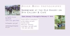 Susan Moss Photography Showcase 