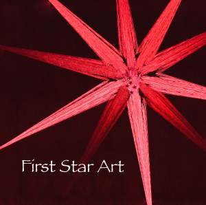 First Star Art Exhibit In West Chicago  Illinois
