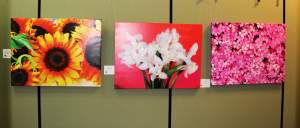 Art Beautique Floral Collection At Grcc In Reston...