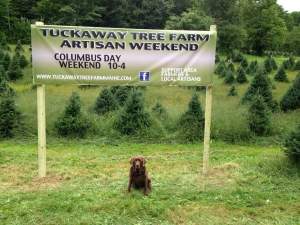 2nd Annual Tuckaway Tree Farm Artisan Weekend 