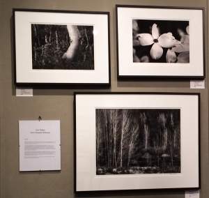 Gary Wagner Exhibits At Chico Art Center Winter...
