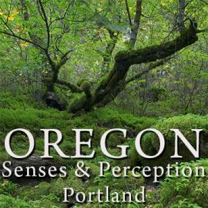 Senses And Perception Portland Oregon Photography...