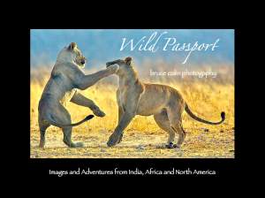 Wild Passport