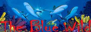 Blue Wild Dive Expo