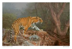 Scent Mark an exhibition of paintings photography on wildlife by KAZI NASIR