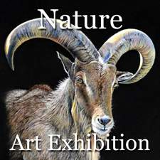 Nature 2014 Art Exhibition Now Online Ready to View