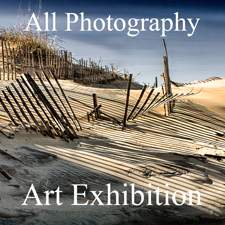 All Photography Online Art Exhibition Results Now...