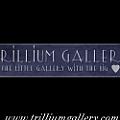 Trillium Gallery