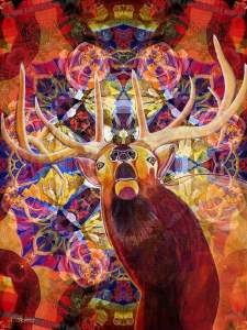 Elk Paintings Photographs And Digital