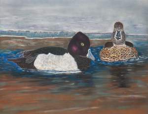 Waterfowl Paintings