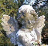 Angel Photography and Paintings Angel Photography and Paintings