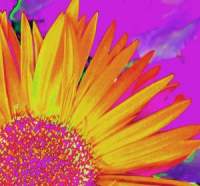Brightly colored images Brightly colored images