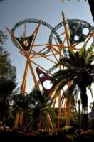Busch Gardens Tampa Florida Busch Gardens Tampa Florida
