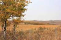 Canadian Prairie Provinces Alberta Saskatchewan and Manitoba Canadian Prairie Provinces Alberta Saskatchewan and Manitoba